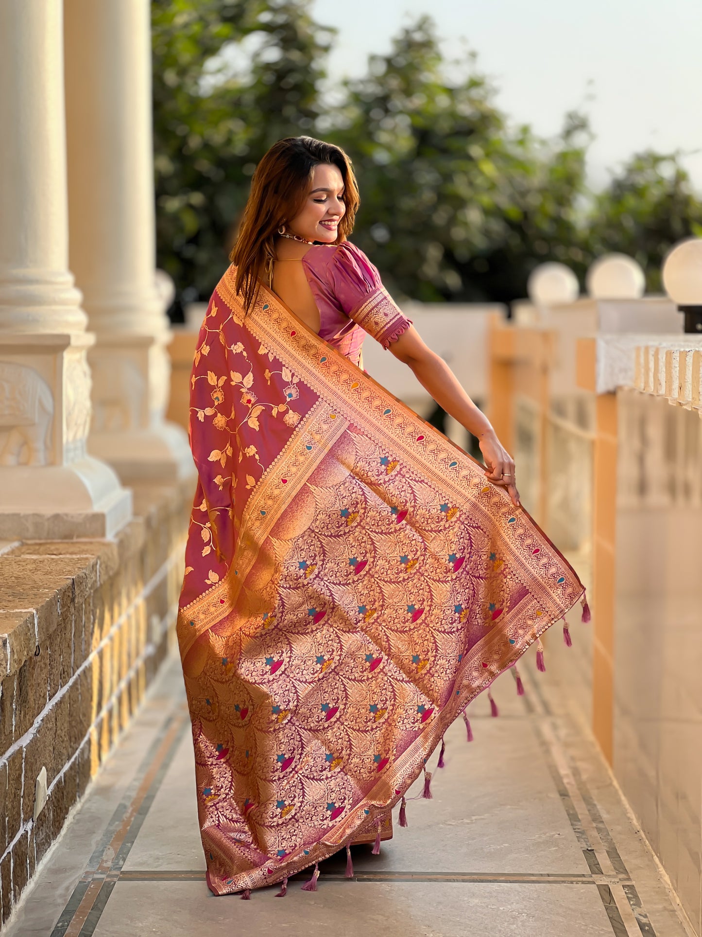 Beautiful Nude-Coloured And Gold-Toned Banarasi Saree
