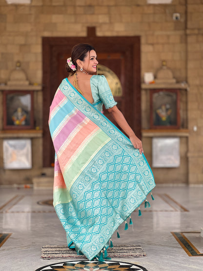 Beautiful Multi Color Pure Banarasi Silk Saree