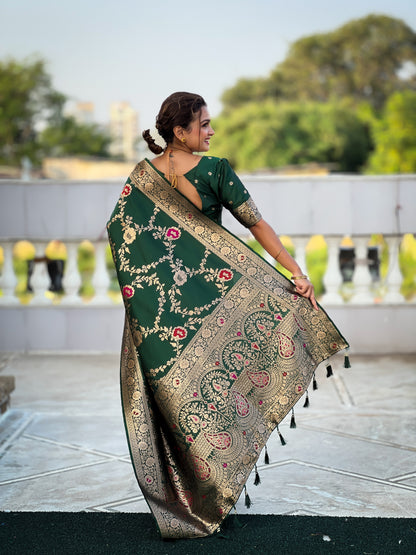 Most Beautiful Women's Banarasi Silk Saree